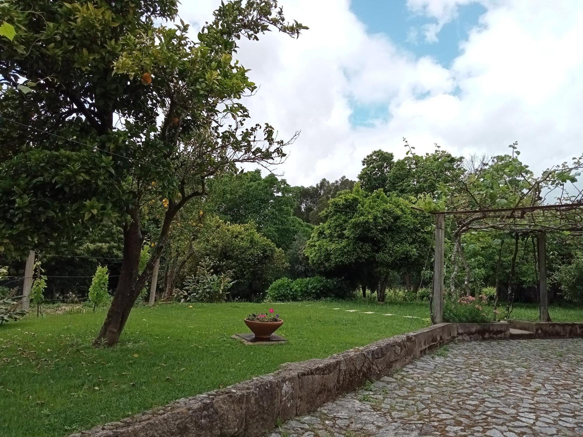 Casa Das Guimaraes Ponte de Lima Bagian luar foto